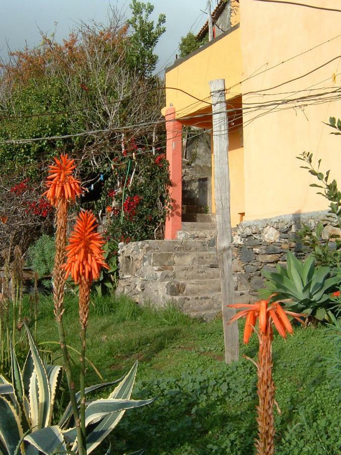 Madeira-Meerblick-Haus Estreito Da Calheta Extérieur photo